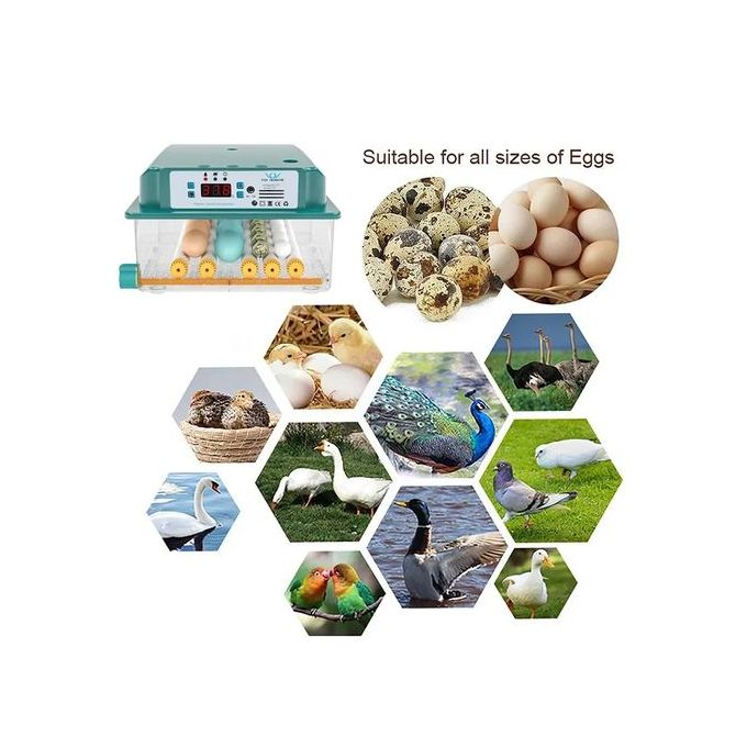 π£ Intelligent Constant Temperature Egg Incubator β 16 Eggs